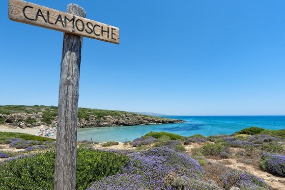 Calamosche em Sicília Calamosche em Sicília