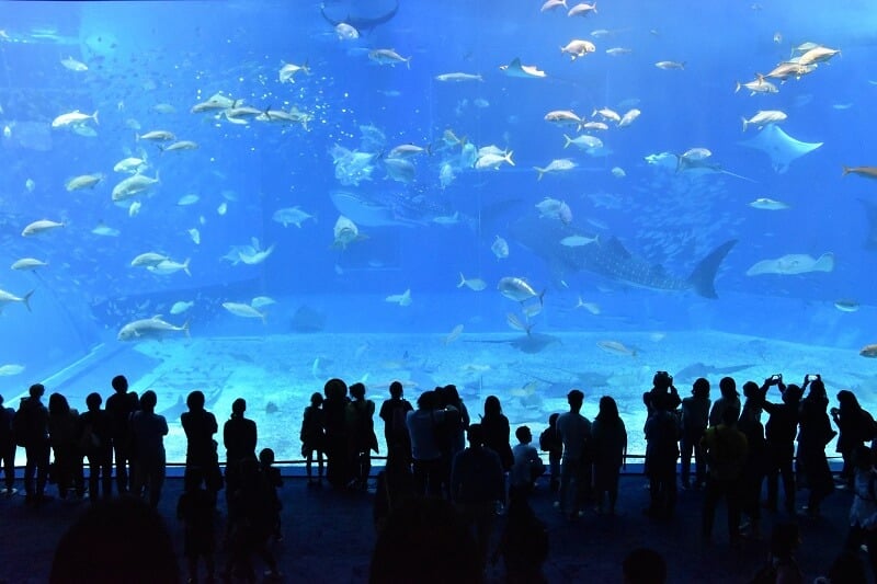 Acquario di Génova em Génova Acquario di Génova em Génova
