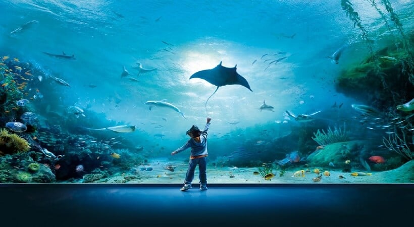 Acquario di Génova em Génova Acquario di Génova em Génova