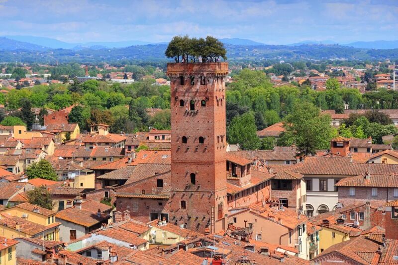 Guinigi Tower em Lucca, na Itália Guinigi Tower em Lucca, na Itália
