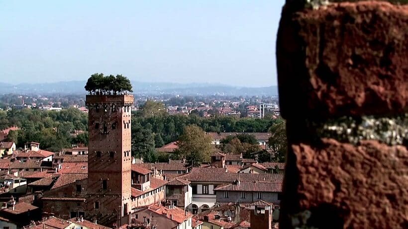 Torre Guinigi em Lucca Torre Guinigi em Lucca