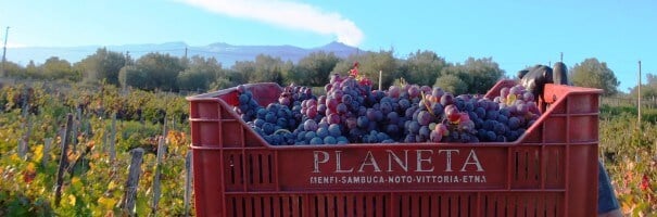 Vinícola Planeta Winery em Taormina 