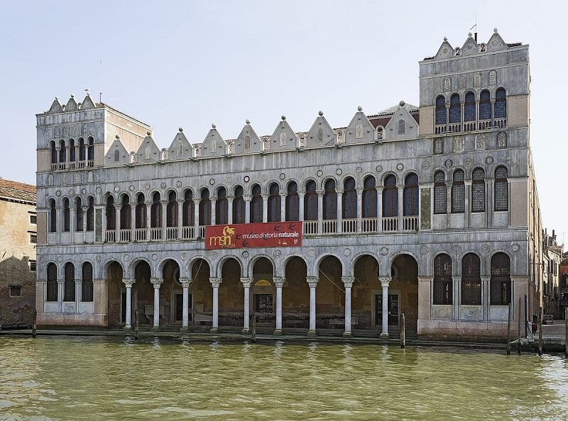 Museu de História Natural de Veneza Museu de História Natural de Veneza
